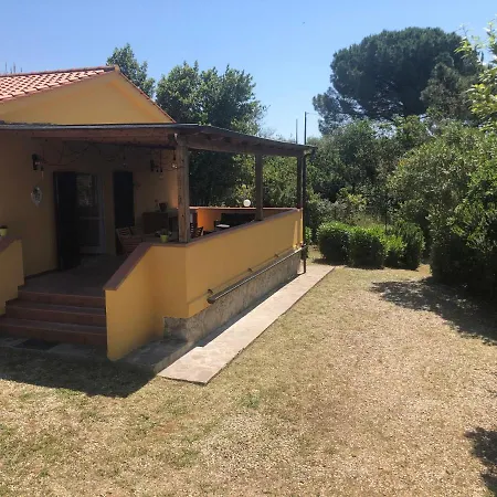 Sterlizia 2 Lacona