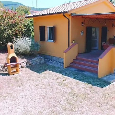 Sterlizia 2 * Lacona