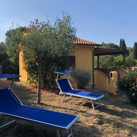 Sterlizia 2 * Lacona