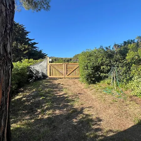 Indipendenti Con Giardino Privato Per Famiglie E Cani Sterlizia 2 * 라코나