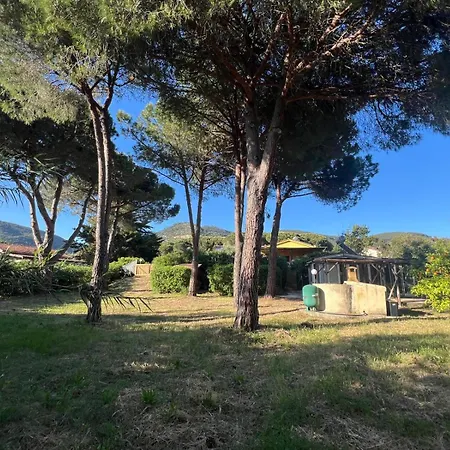 Indipendenti Con Giardino Privato Per Famiglie E Cani Sterlizia 2 펜션 라코나