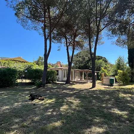 Indipendenti Con Giardino Privato Per Famiglie E Cani Sterlizia 2 *