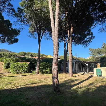Indipendenti Con Giardino Privato Per Famiglie E Cani Sterlizia 2 * 拉科纳