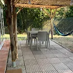 Lampone Lacona