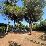 Lampone * Lacona