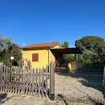Lampone Lacona
