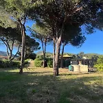 Lampone Casa vacanze Lacona