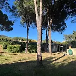 Lampone * Lacona