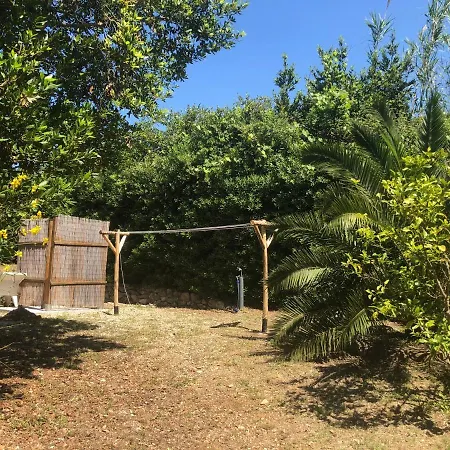 Lampone Casa vacanze Lacona