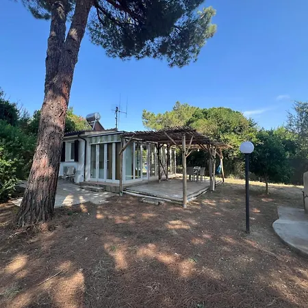 בית נופש Indipendenti Con Giardino Privato Per Famiglie E Cani Sterlizia 2 *