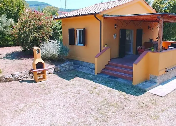 Sterlizia 2 * Lacona