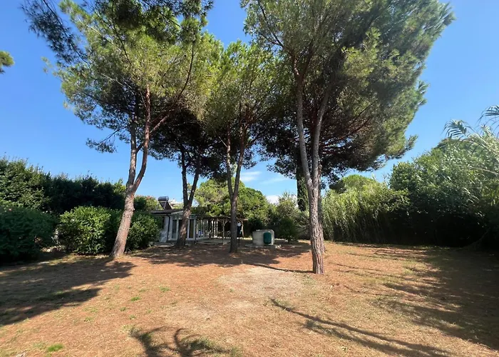 Sterlizia 2 * Lacona